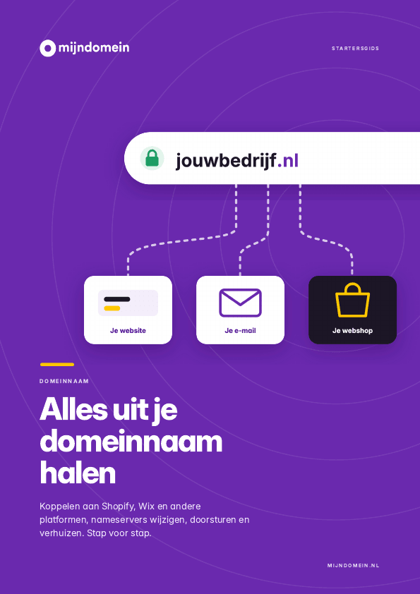 Omslag van de gids Domeinnaam