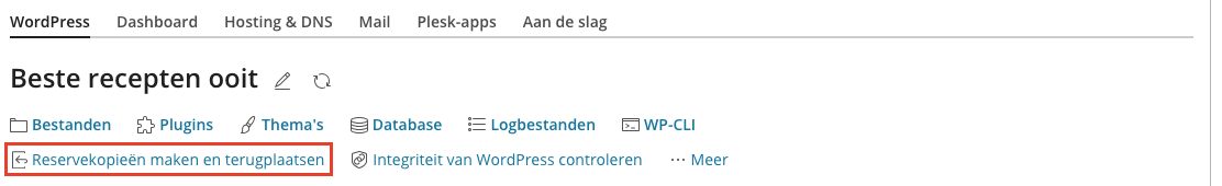 Schermafbeelding van Plesk › WordPress. De link staat onder de naam van je website, op het tabblad WordPress