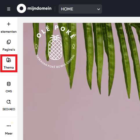 Het menu links in de editor met de knop Thema.
