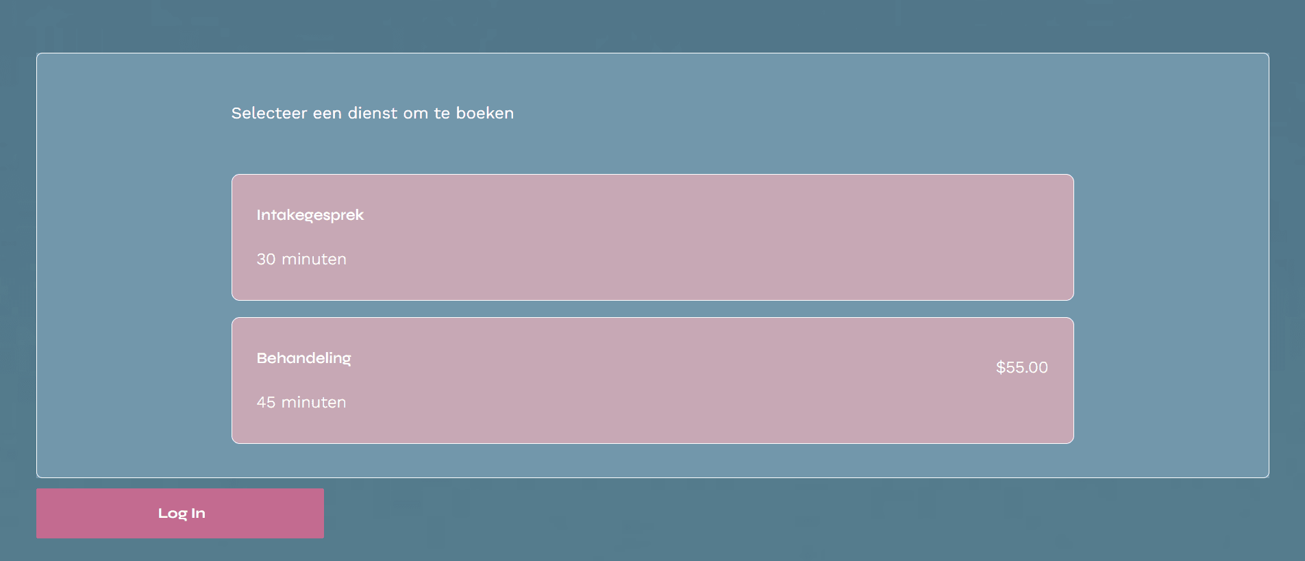 De boekingswidget op een website met twee soorten afspraken waaruit de klant kan kiezen, de tweede met een prijs erbij.